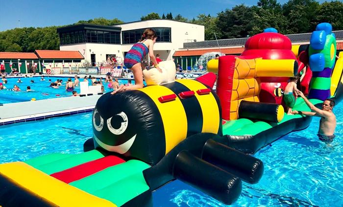 Image Credit:Lido Ponty